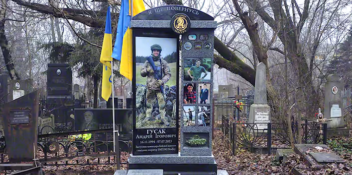 Памятник-Гусак